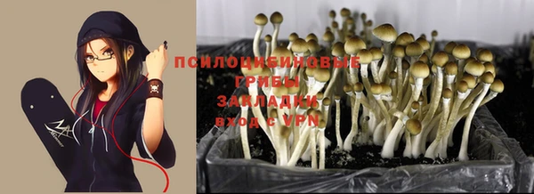 a pvp Алзамай