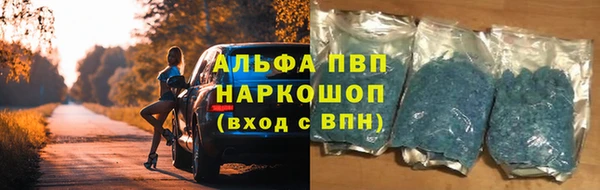 a pvp Алзамай